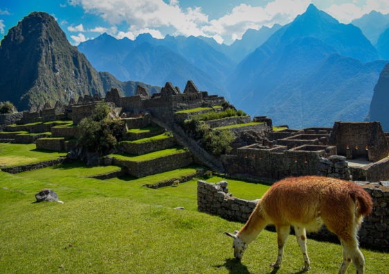 Machu Picchu